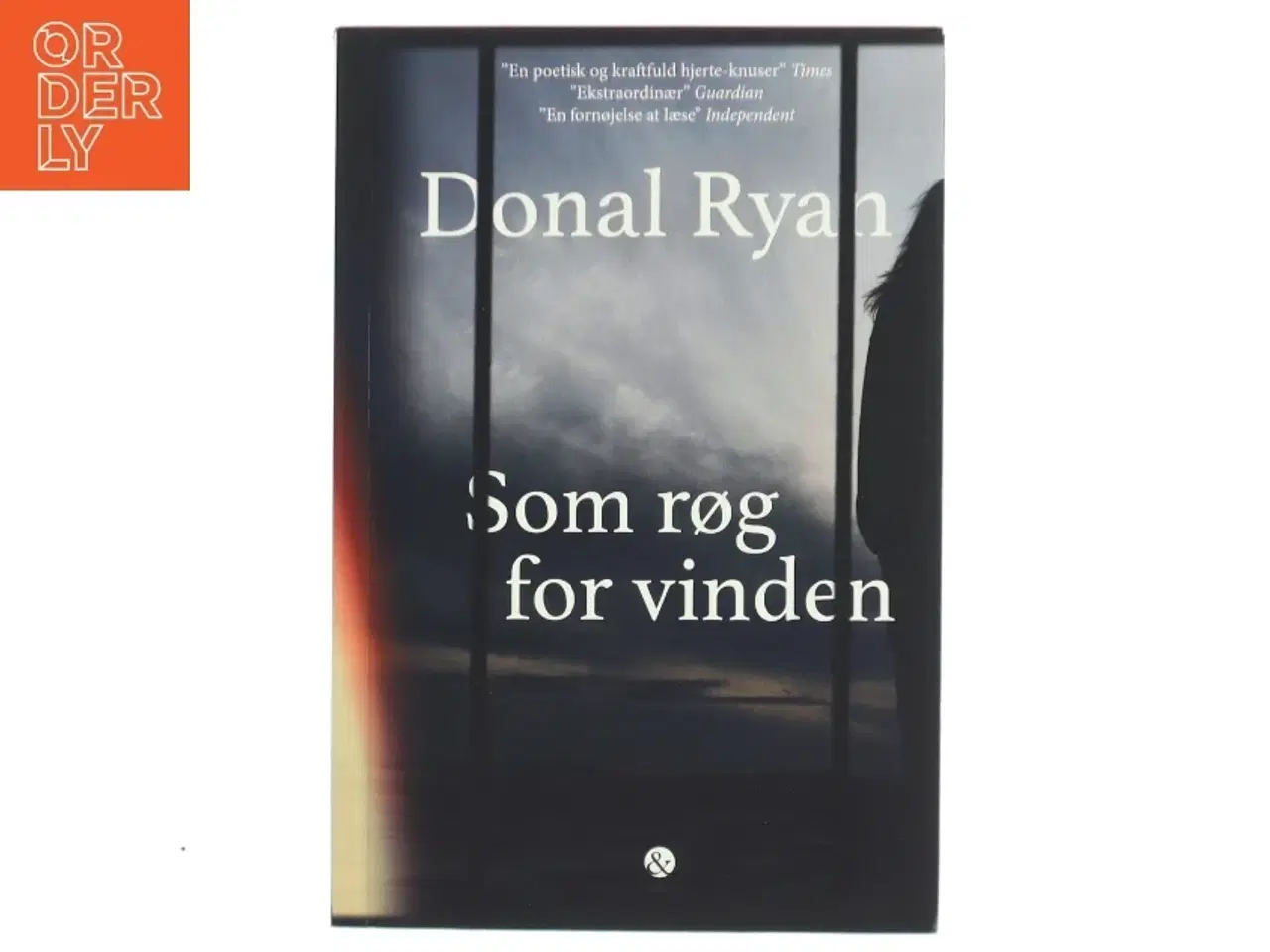 Billede 1 - Som røg for vinden af Donal Ryan (Bog)