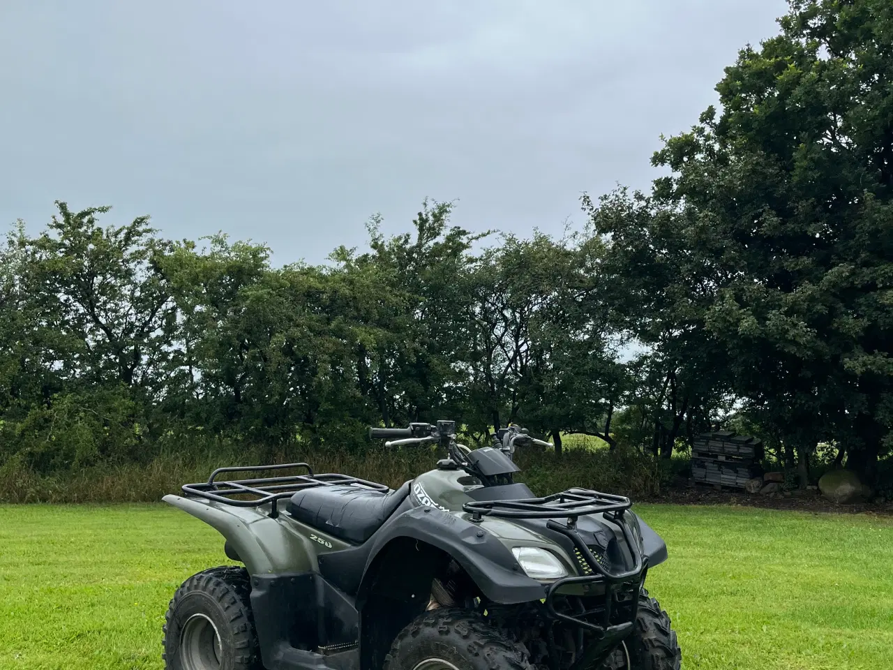 Billede 2 - Suzuki ozark 250 