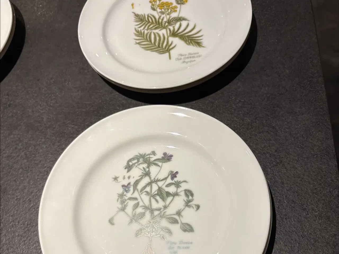 Billede 3 - Flora Danica tallerkener sælges 