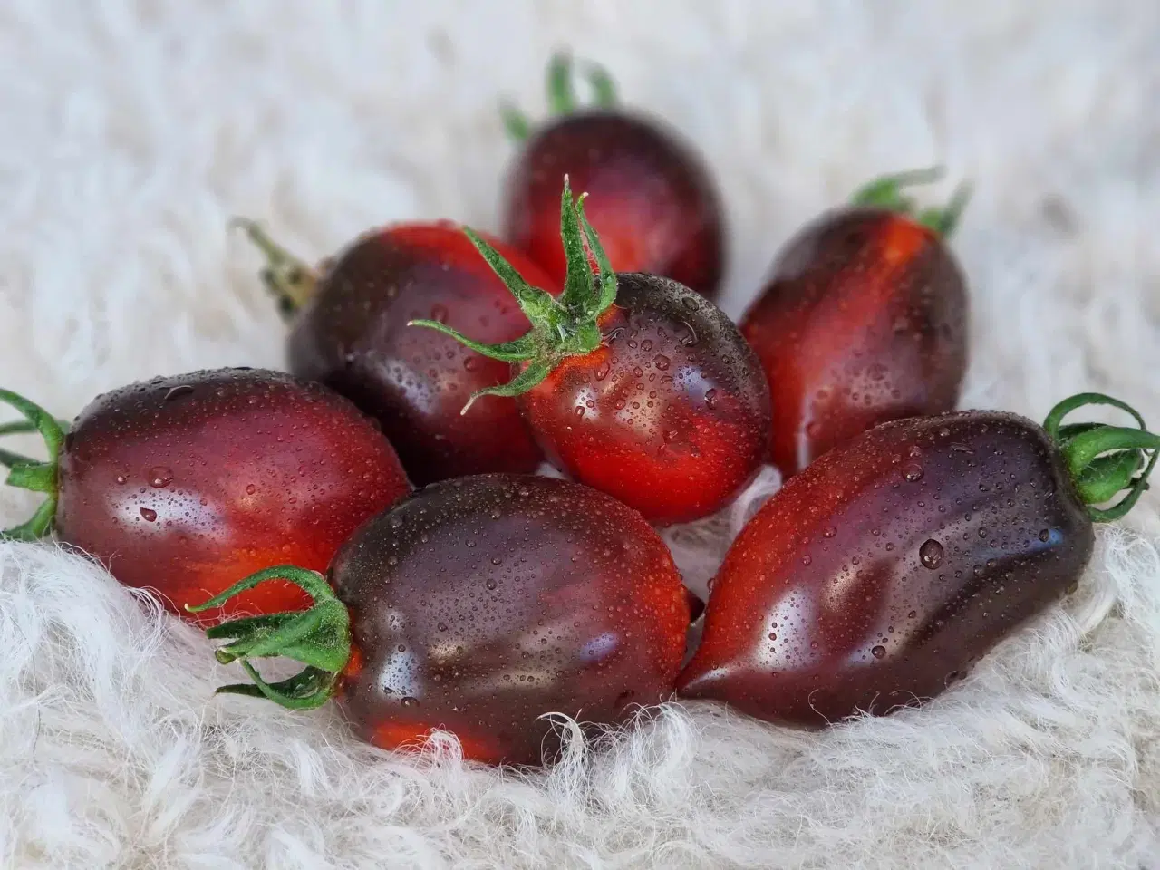 Billede 16 - TOMATFRØ - 300 sorter!!