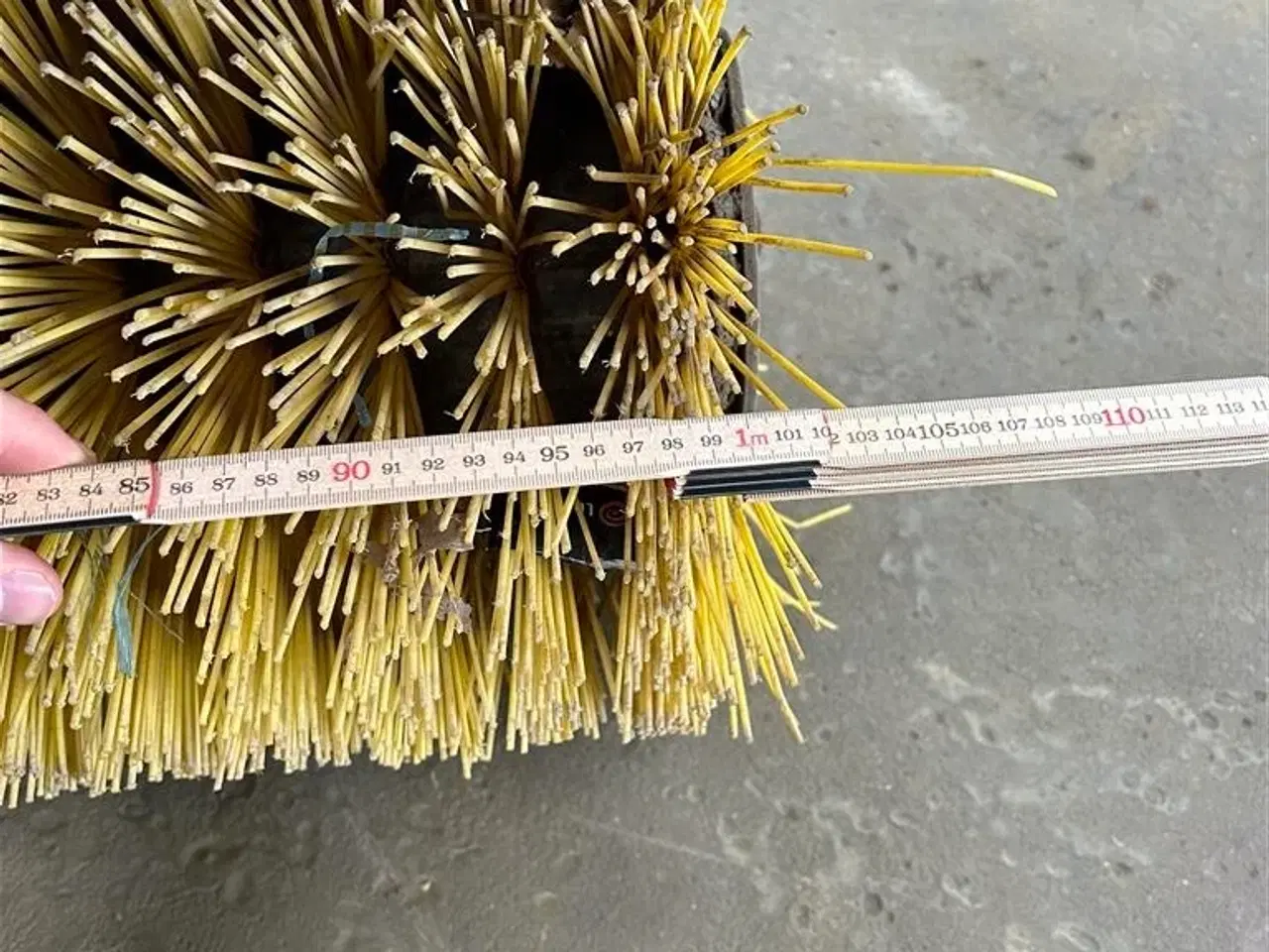 Billede 7 - Texas m/kost