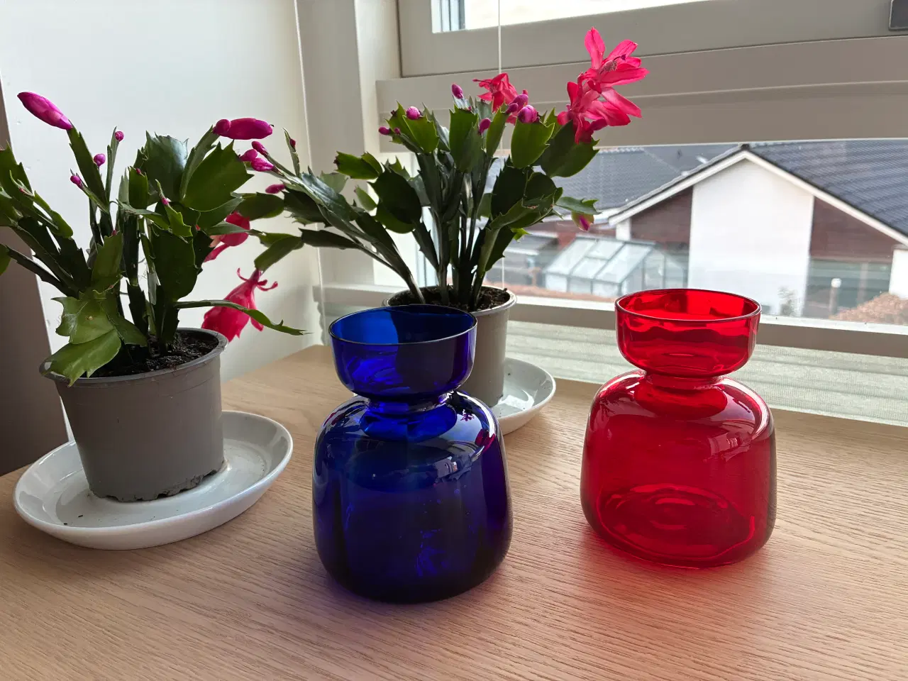 Billede 2 - Hyacintglas   -  blå og rød  - Holmegaard