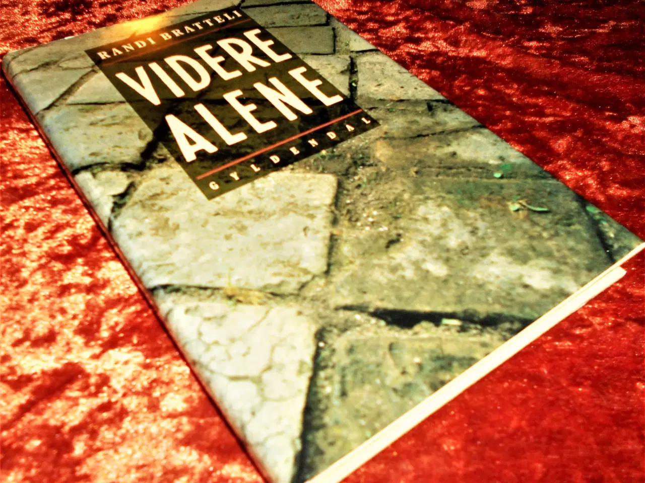 Billede 1 - Videre alene, Randi Bratteli, 
