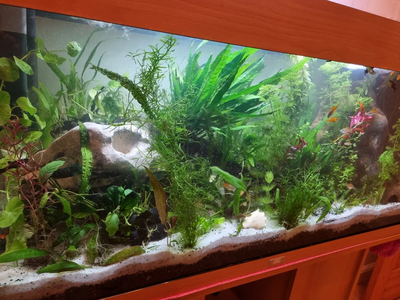 Billede 3 - Akvarie 180L 