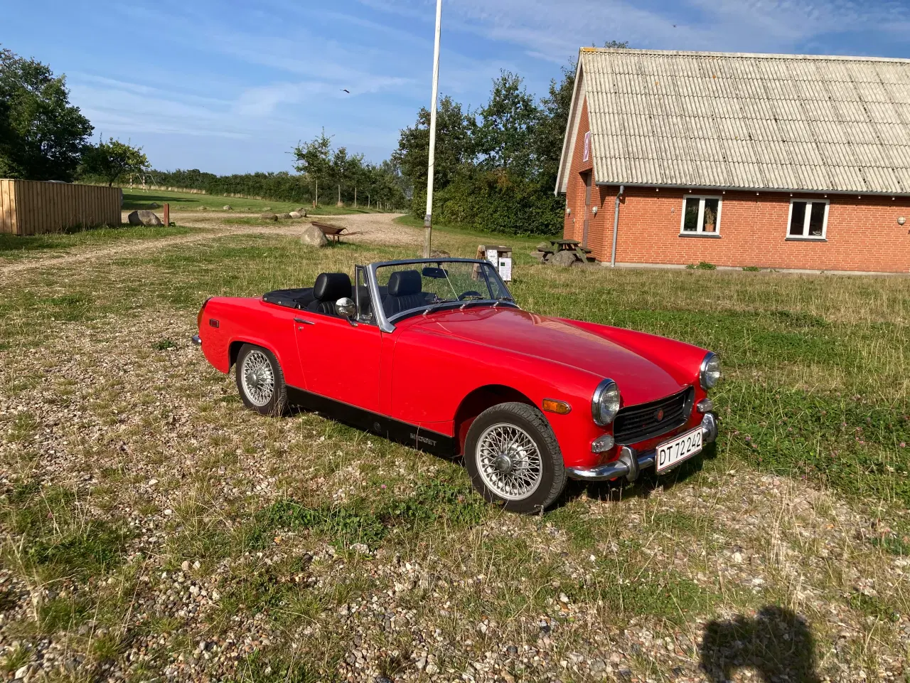 Billede 1 - Mg midget