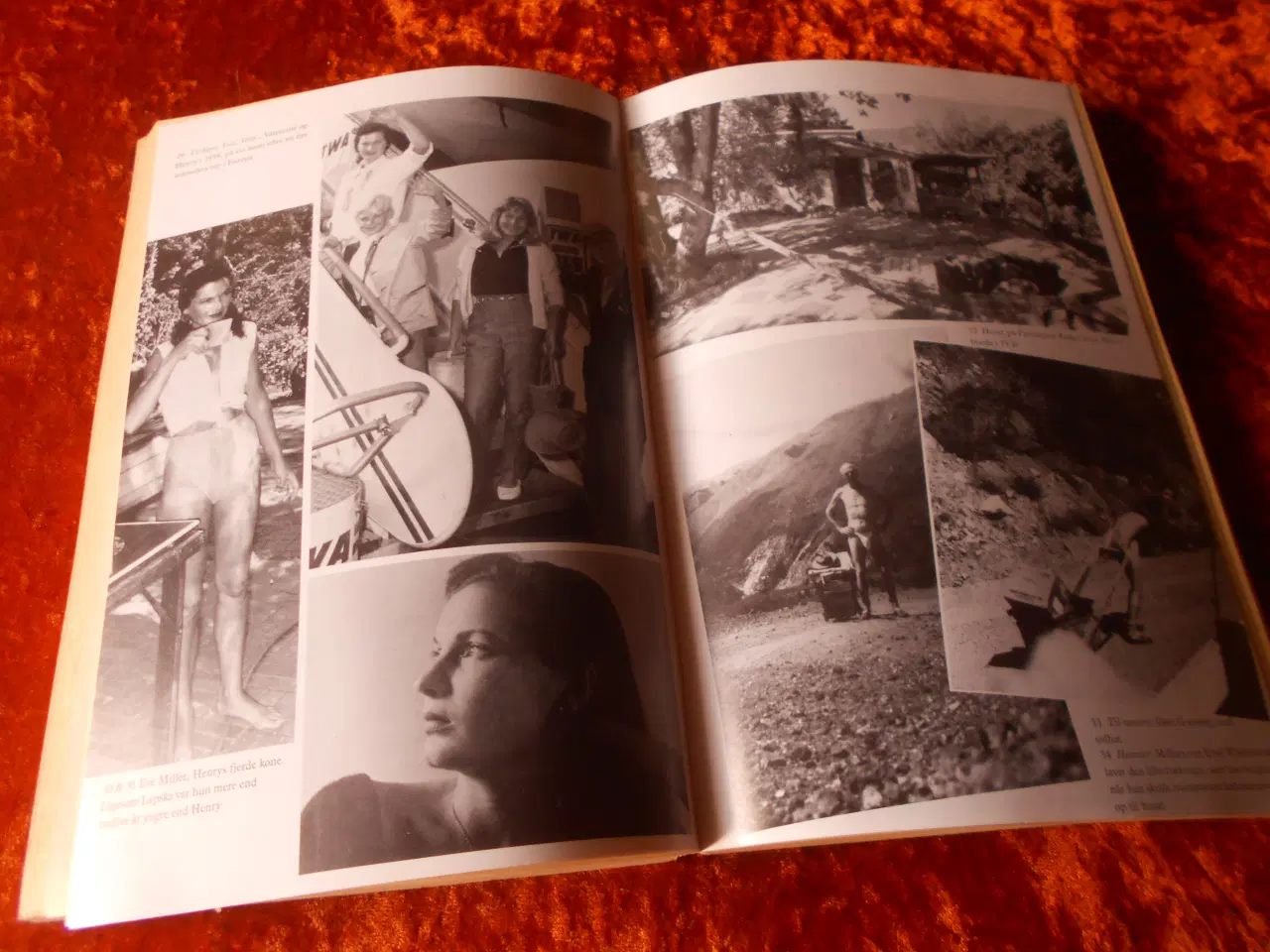 Billede 4 - Henry Miller - et liv, Robert Ferguson, 