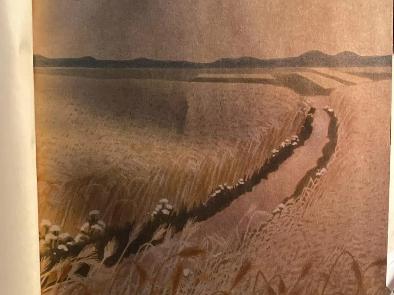 Billede 4 - Rugens Sange