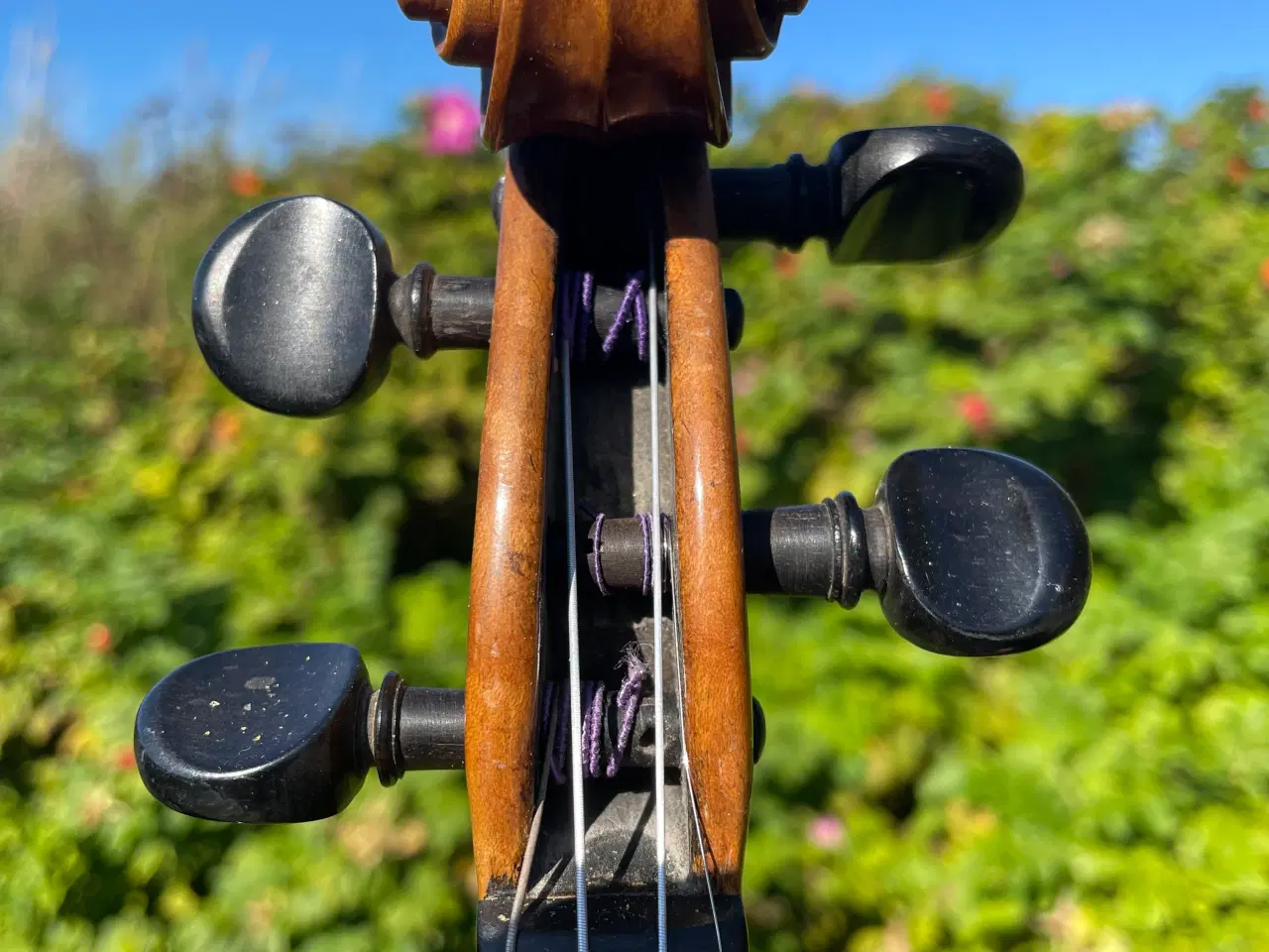 Billede 4 - Gammel Violin