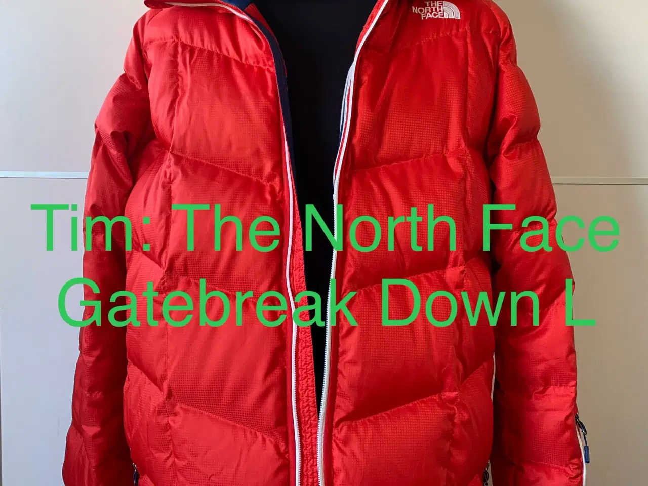 Billede 2 - The North Face Gatebreak Down L 