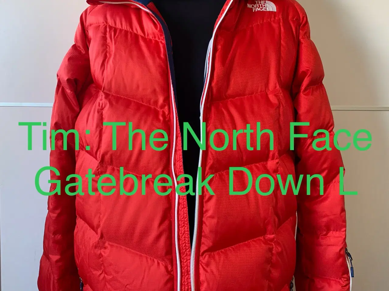 The North Face Gatebreak Down L Aarhus C GulogGratis