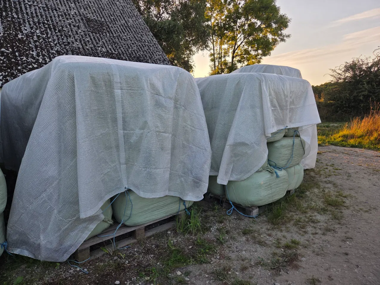 Billede 5 - Wrap i god kvalitet til heste (morten korch)