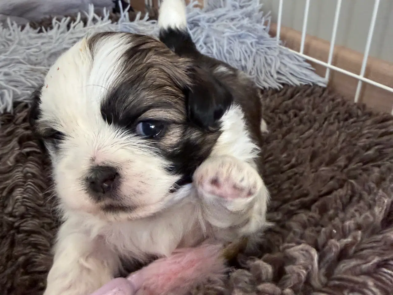 Billede 9 - Allergi venlige bomulds blandinger