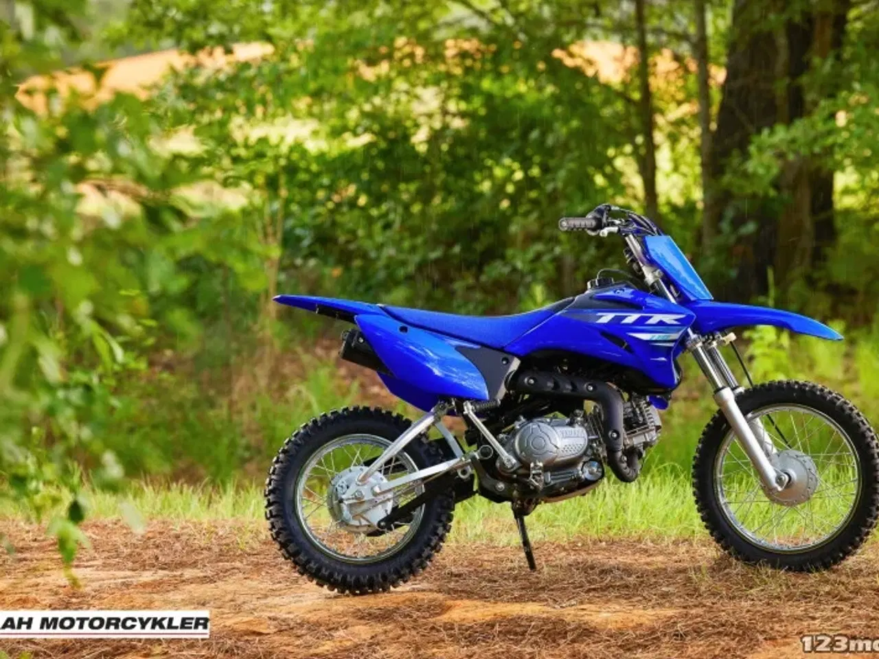 Billede 7 - Yamaha TTR 110