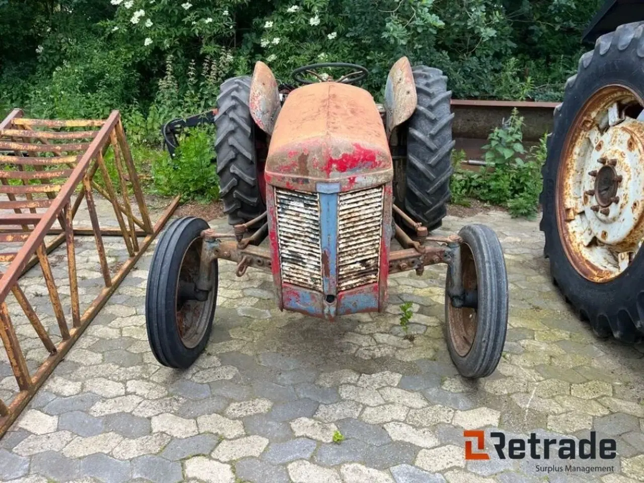 Billede 2 - Massey Ferguson Oldtimer