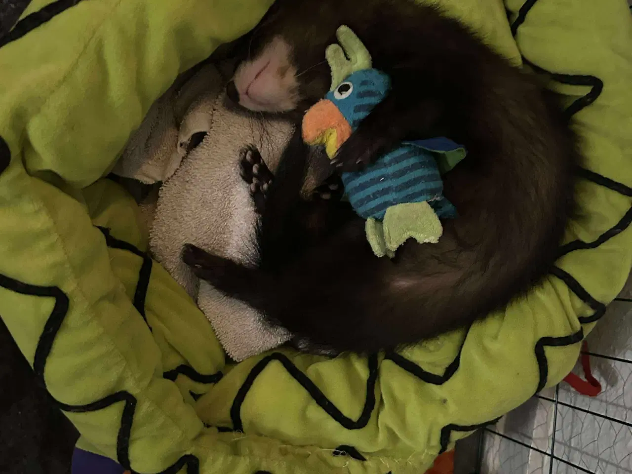 Billede 3 - Prins søger nyt “slot”