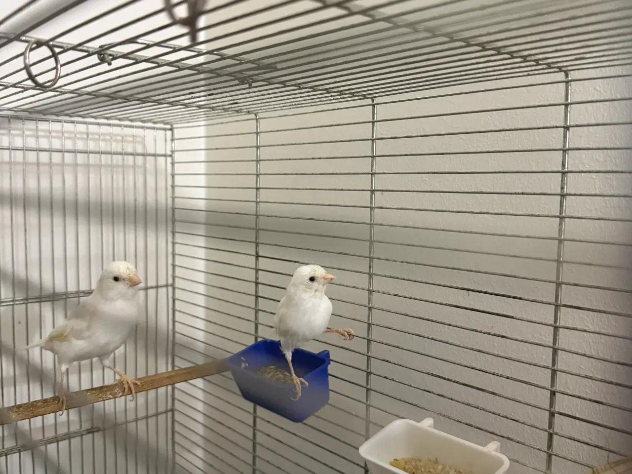 Billede 1 - Beskrivelse af varen