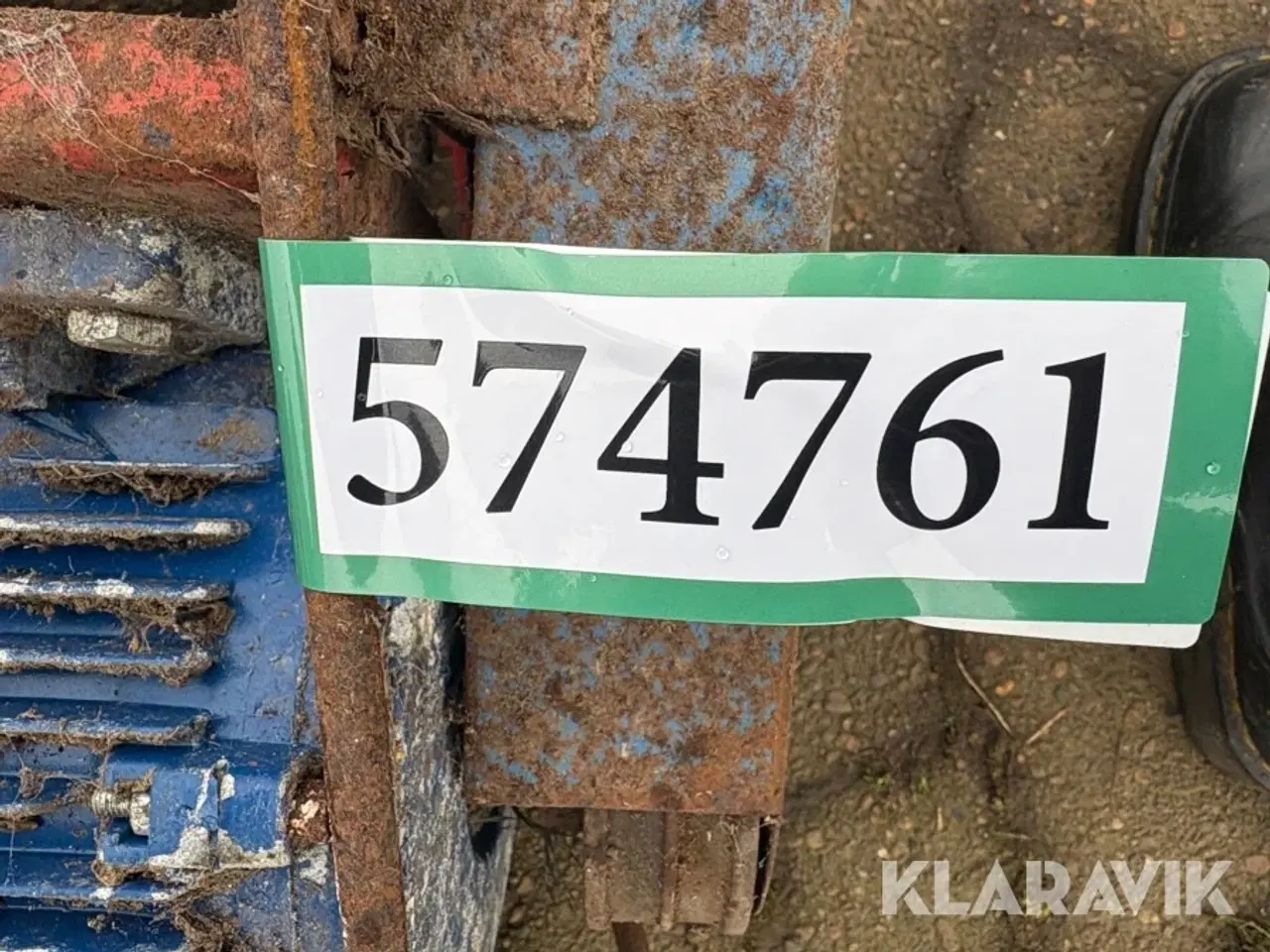 Billede 11 - Kornsnegl