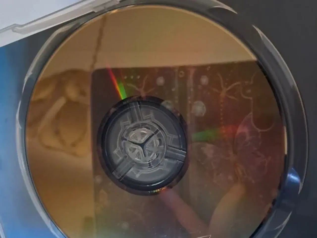 Billede 5 - What lies beneath