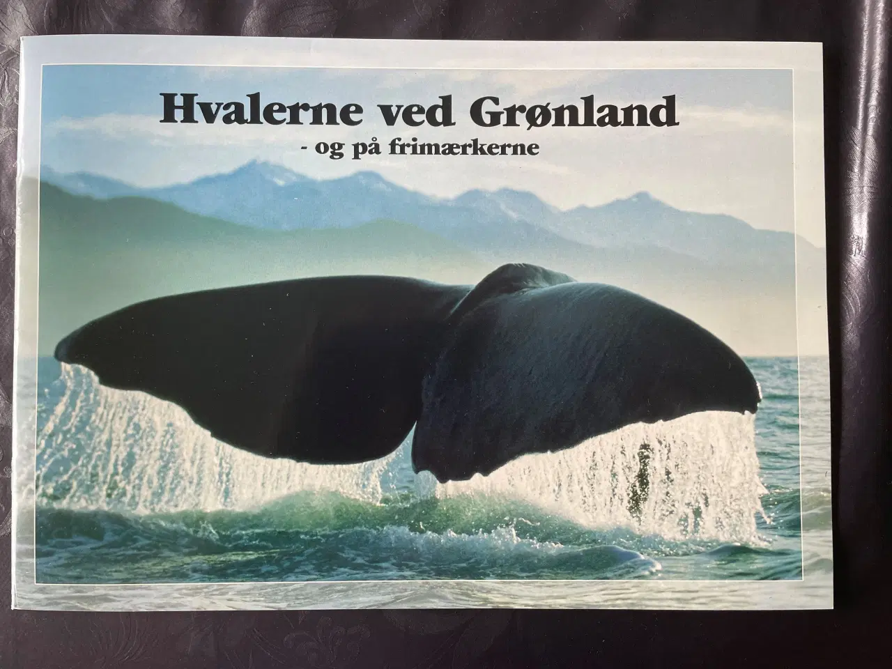 Billede 1 - Grønland, Hvaler - Særmappe med Grønlandske hvaler