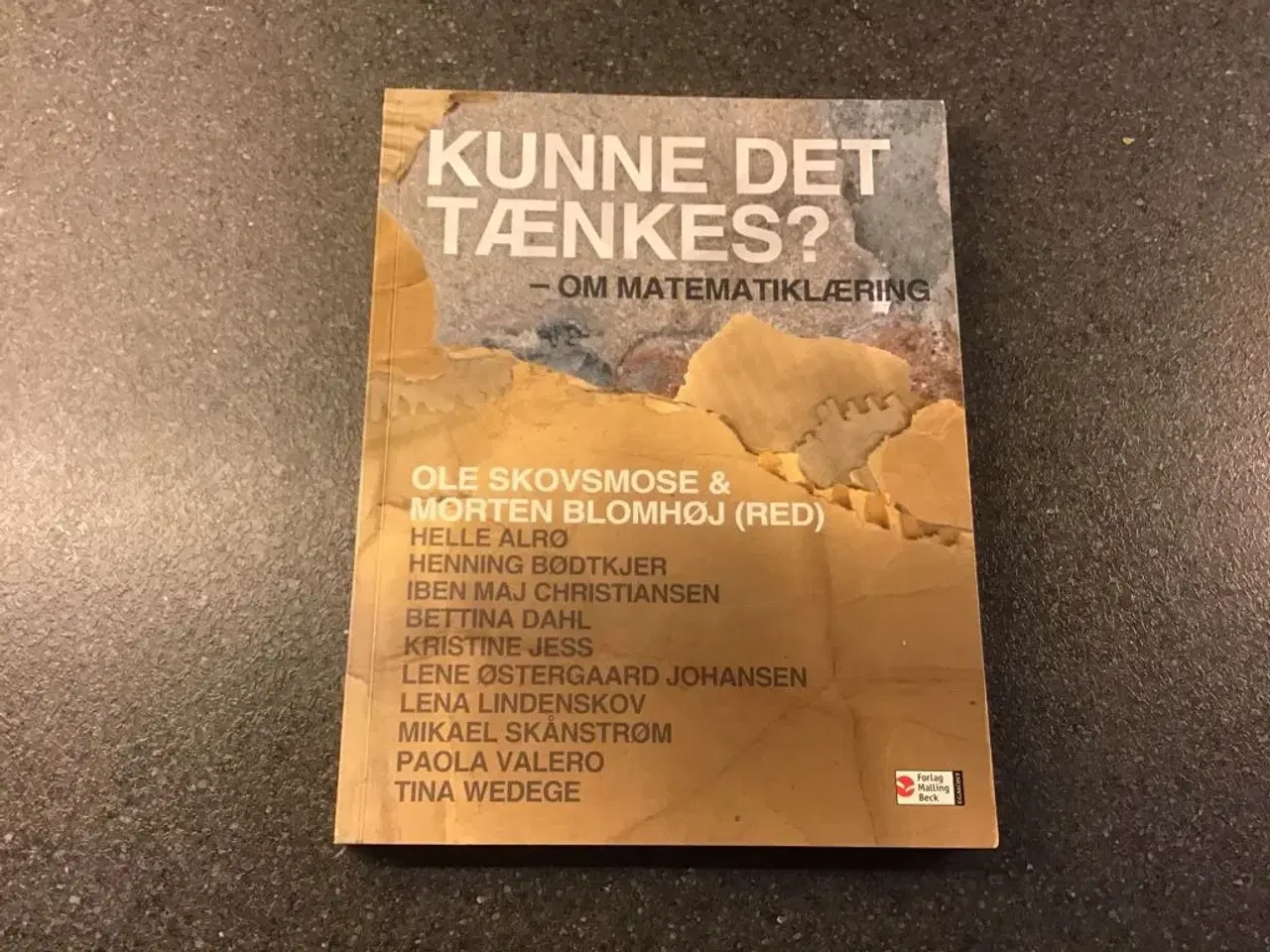 Billede 1 - Læreruddannelsen Matematik