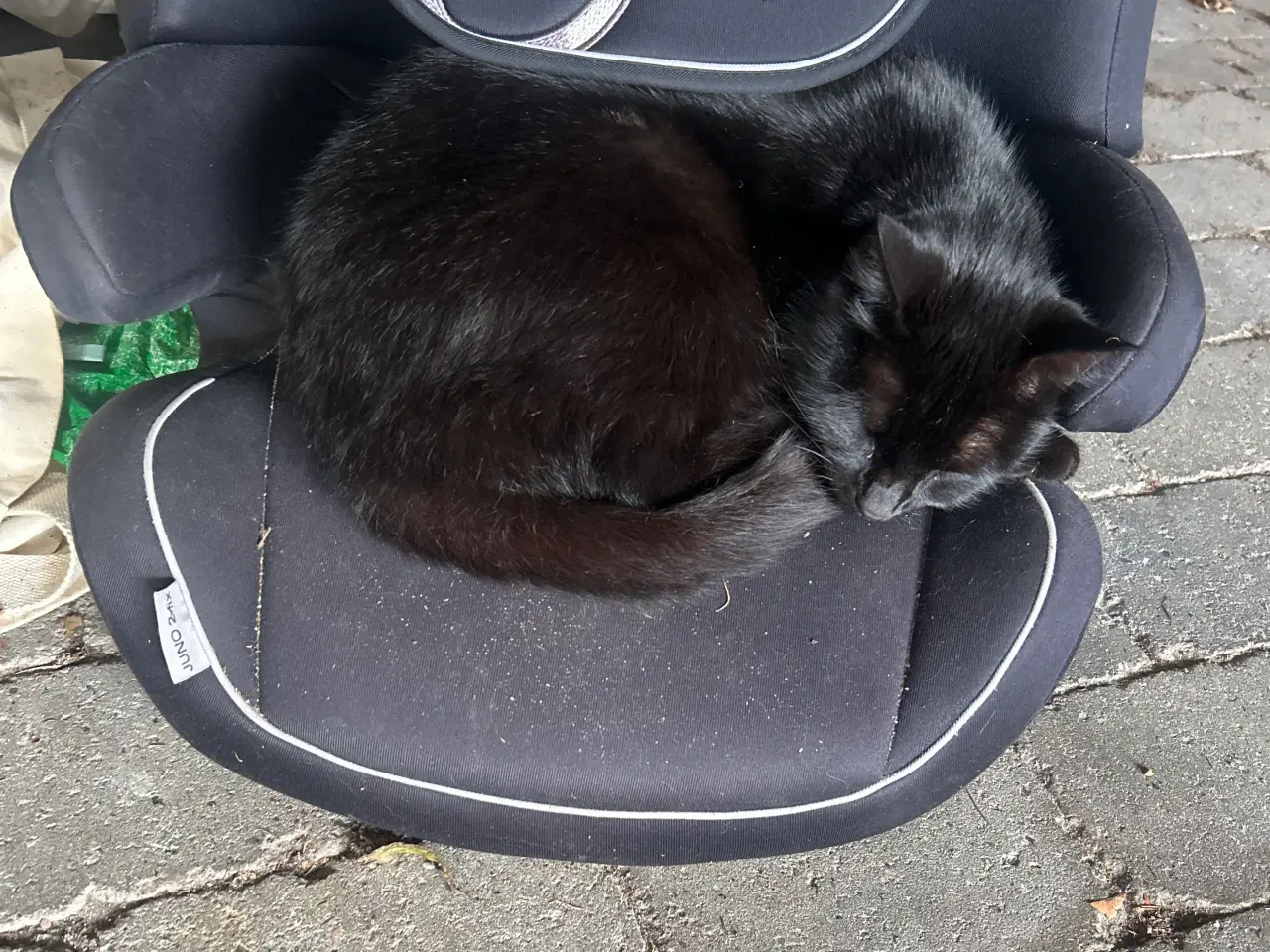 Billede 1 - Små søde blandings kattekillinger 