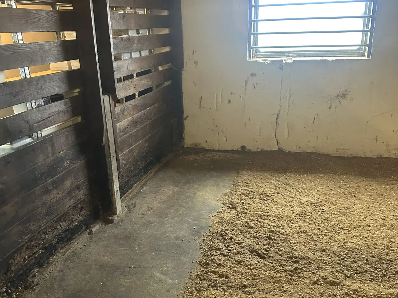 Billede 5 - Bokse udlejes i Stenstrup med ridehus på stedet