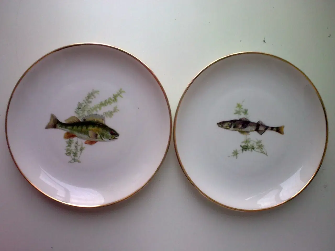 Billede 5 - Fisk gaven til en ven. Frokost T2 SÆT m fad