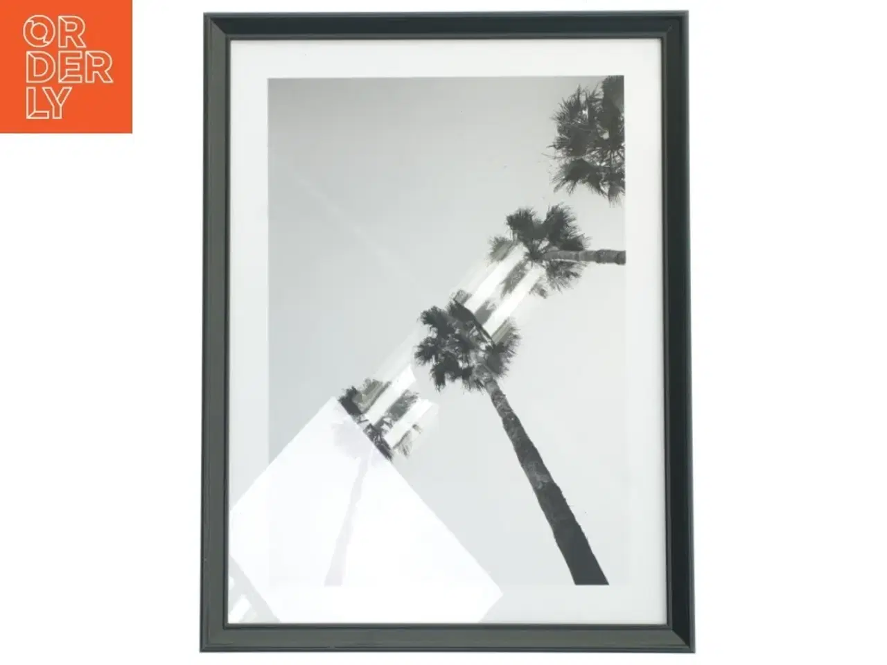 Billede 1 - Indrammet billede af palmetræer fra IKEA (str. 42,5x32,5 cm)