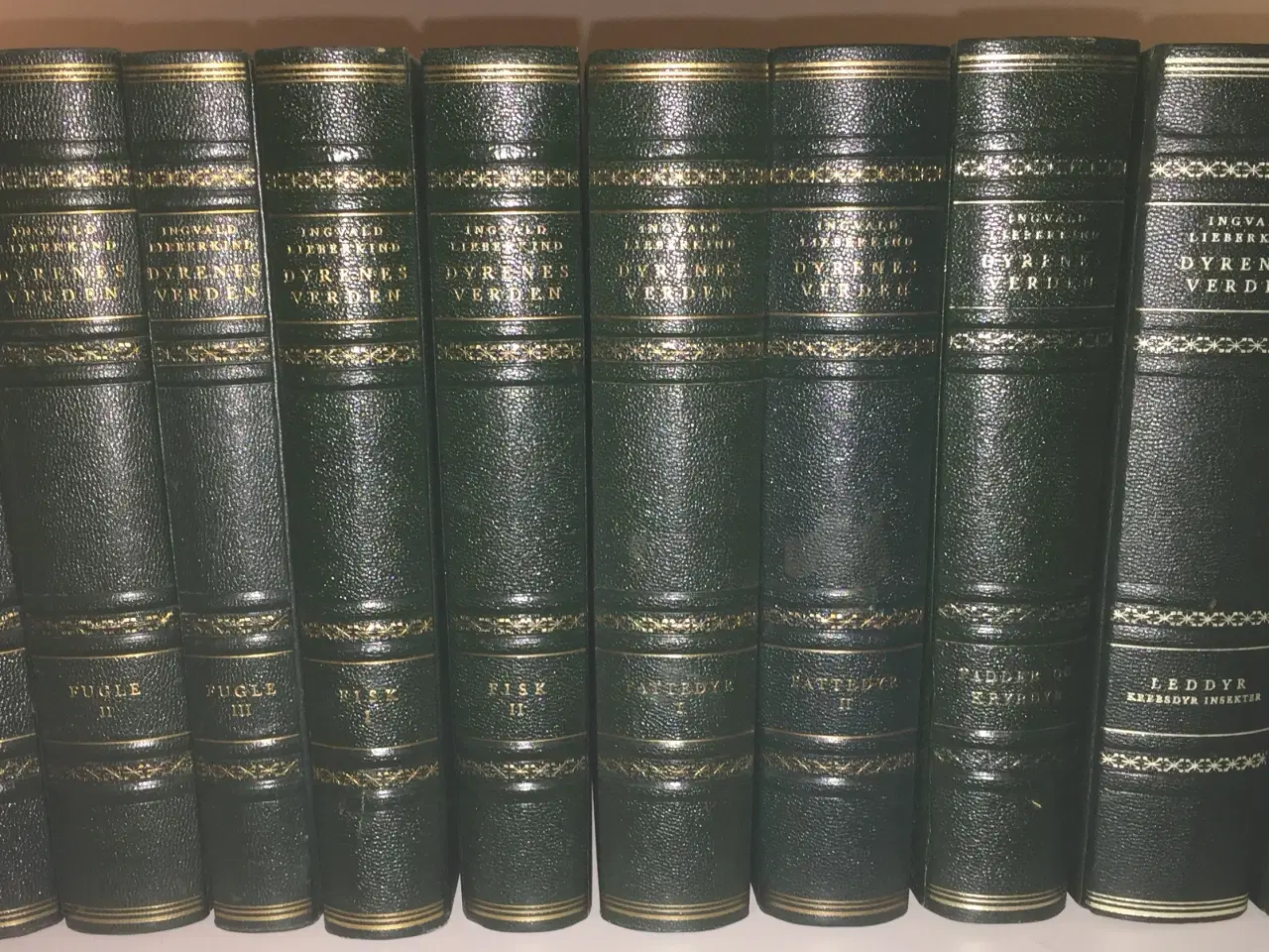 Billede 3 - Dyreleksikon i 10 bind