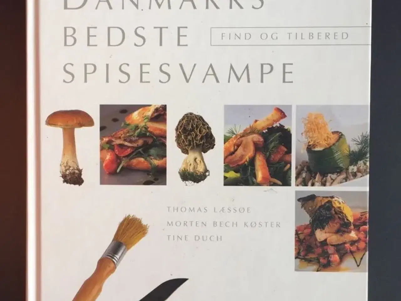 Billede 1 - Danmarks bedste SPISESVAMPE