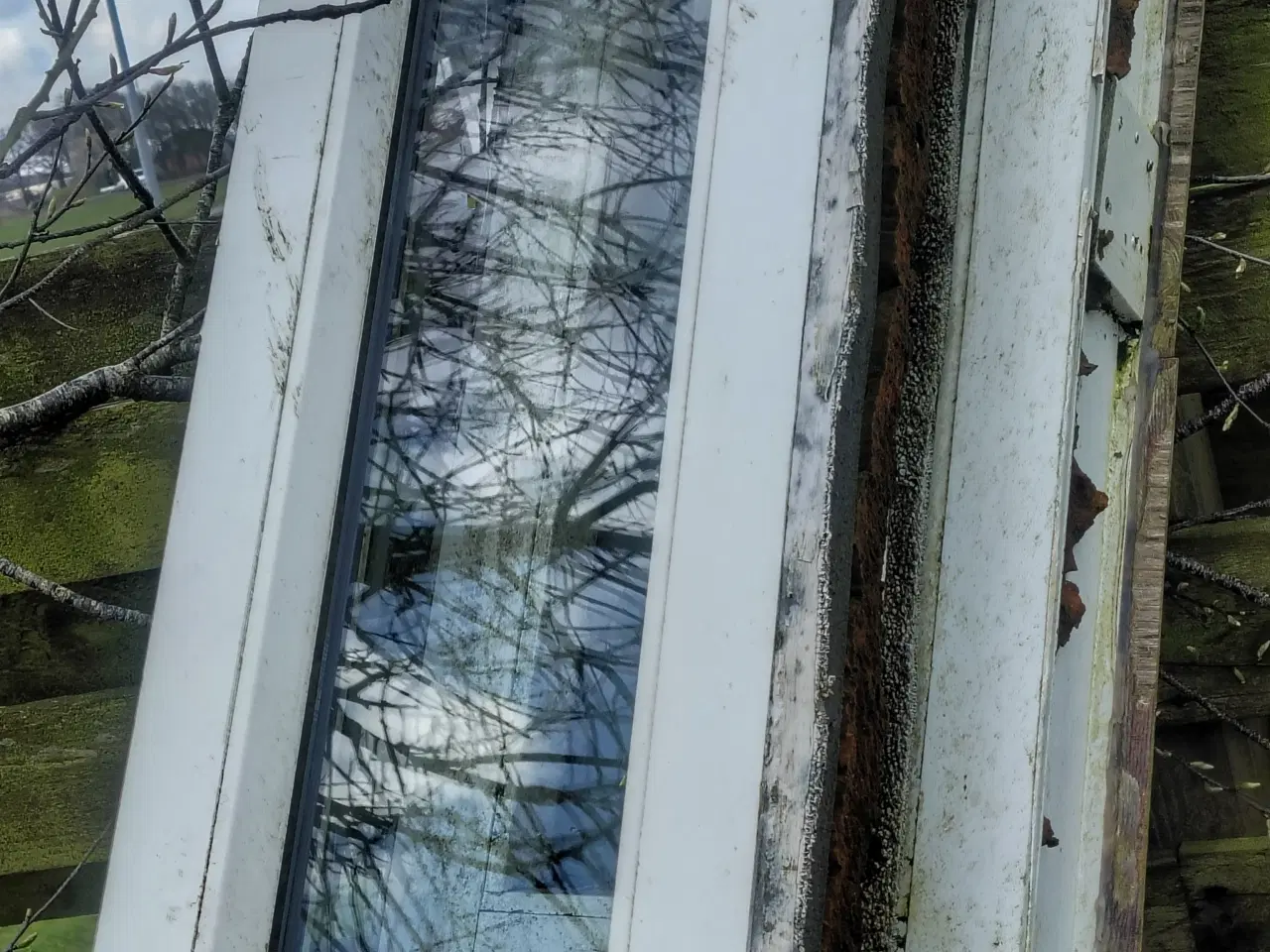 Billede 1 - Vinduer i forskellige størrelser