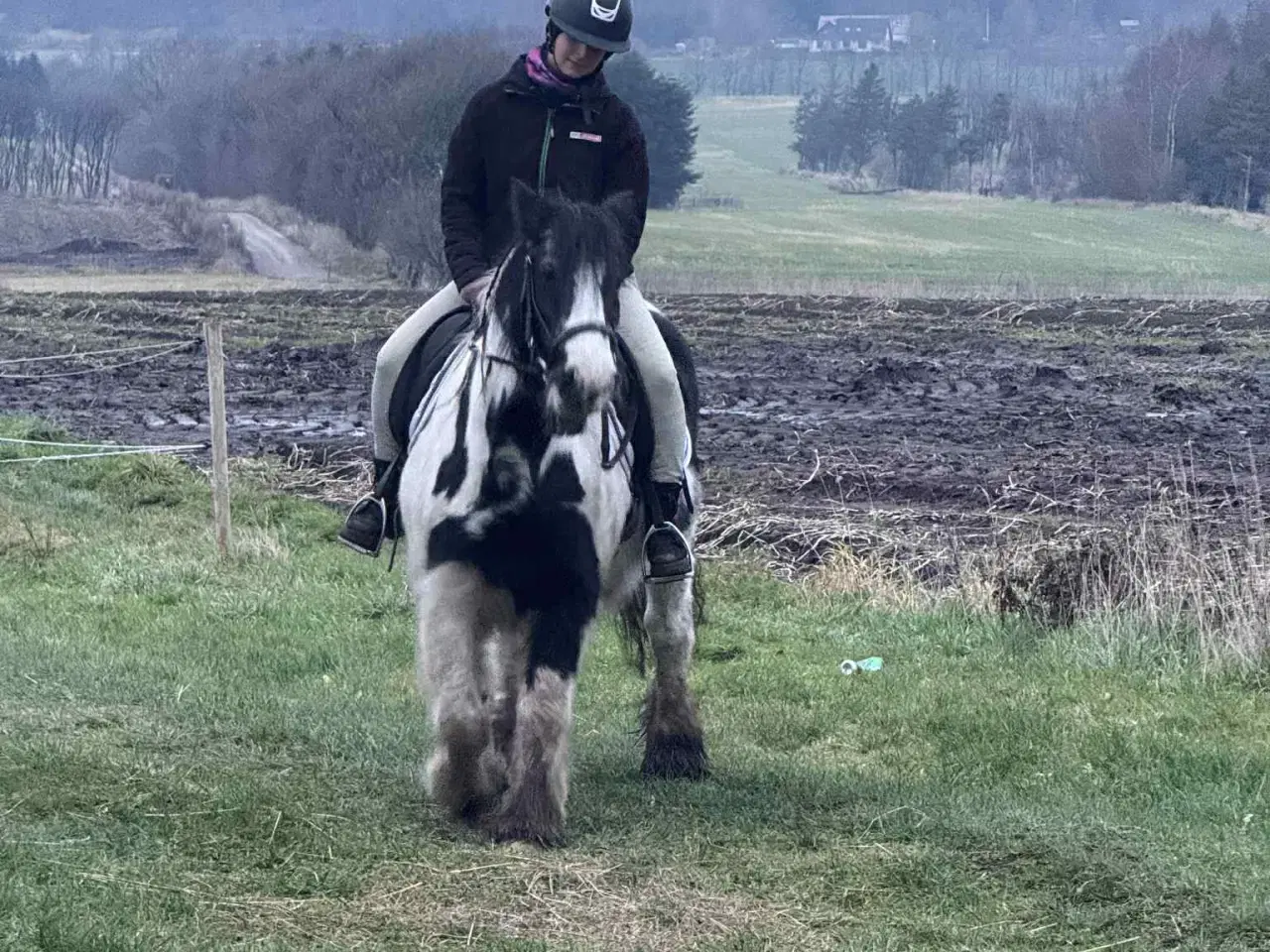 Billede 2 - Irish Cop 