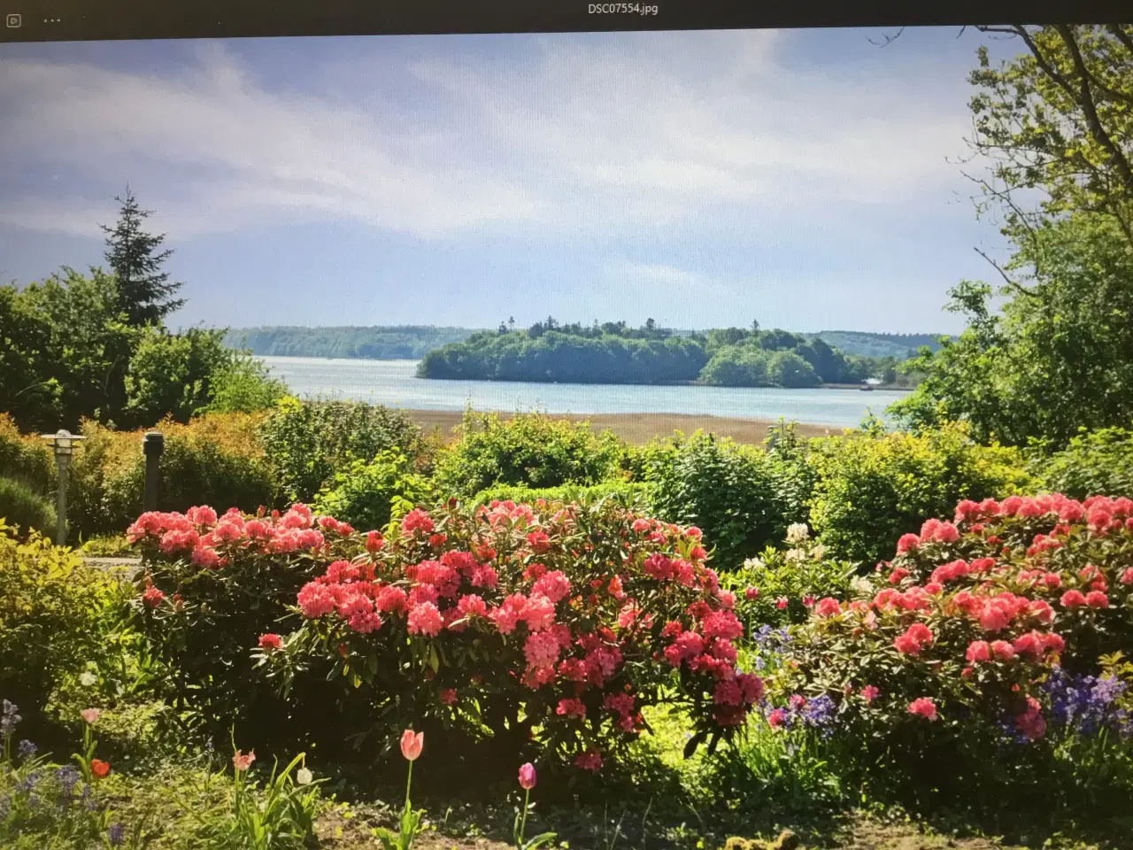 Billede 3 - Ejendom med plads, muligheder og fjordudsigt