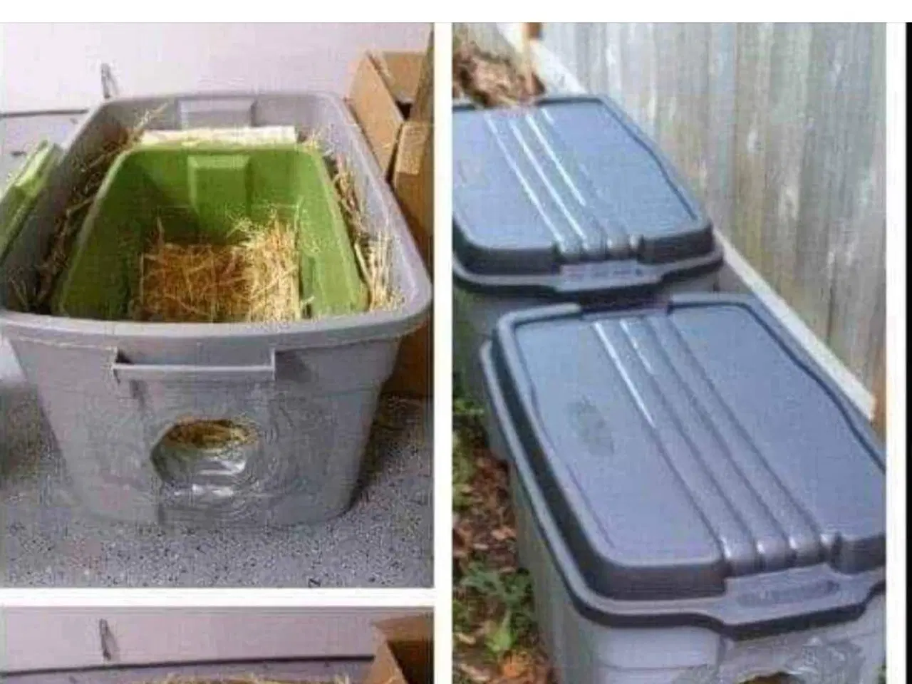 Billede 3 - Hjælp kaninerne