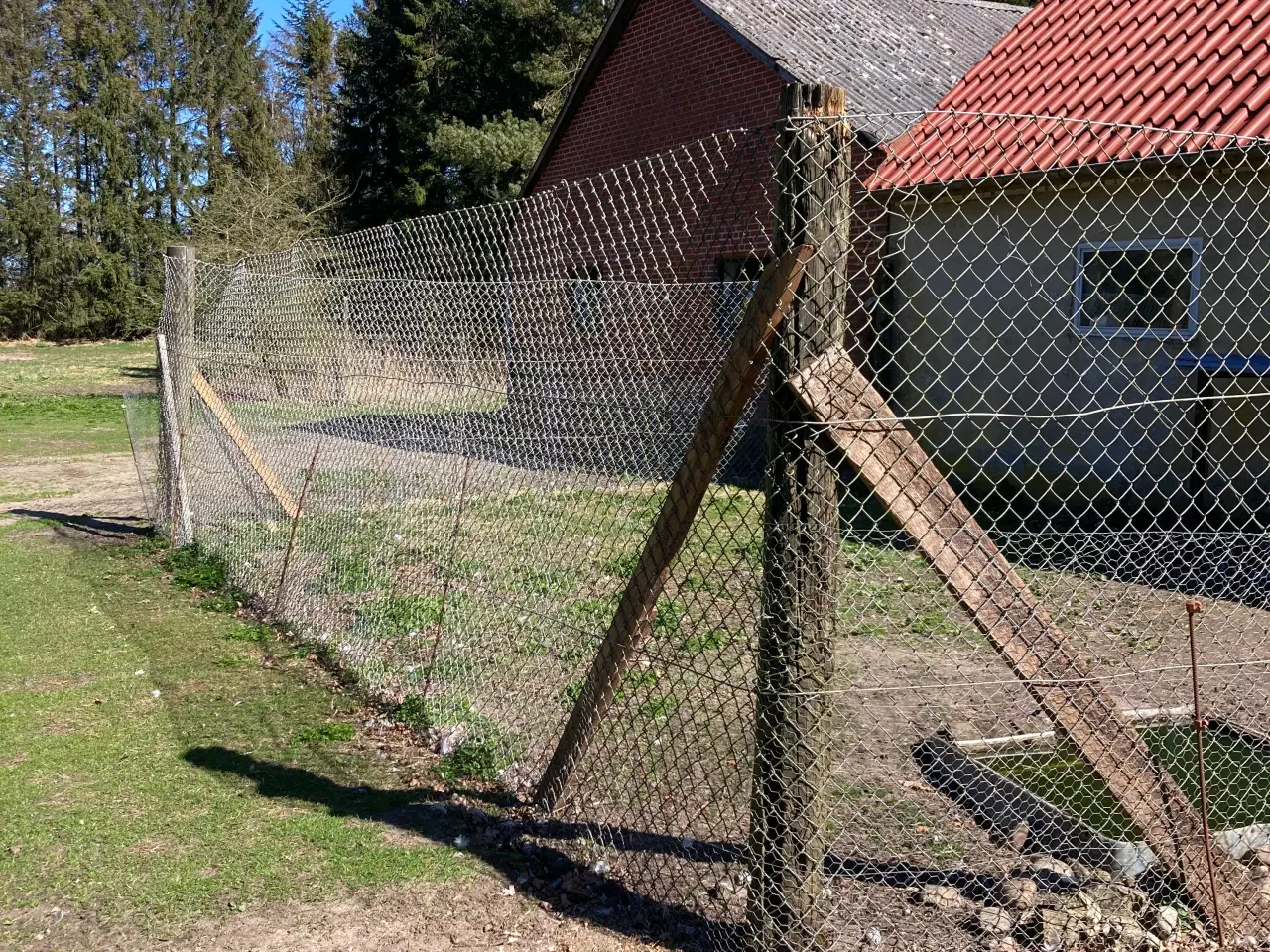 Billede 2 - Kraftigt hegn 