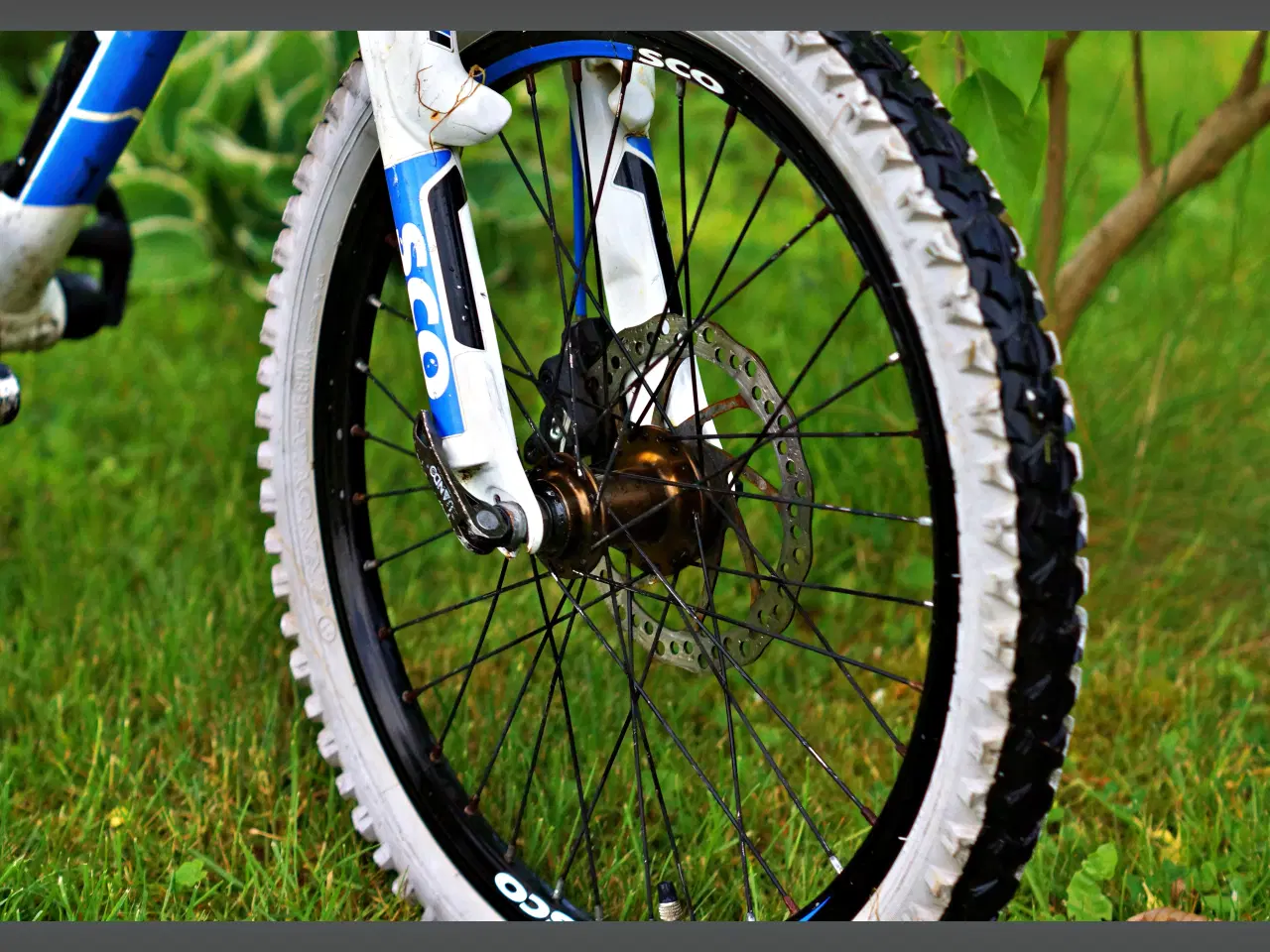 Billede 4 - Mountainbike 20" hjul.  7gear.  SCO