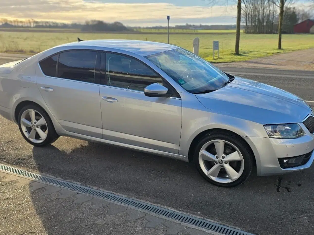 Billede 5 - Skoda Octavia 2,0 TDi 150 Elegance DSG