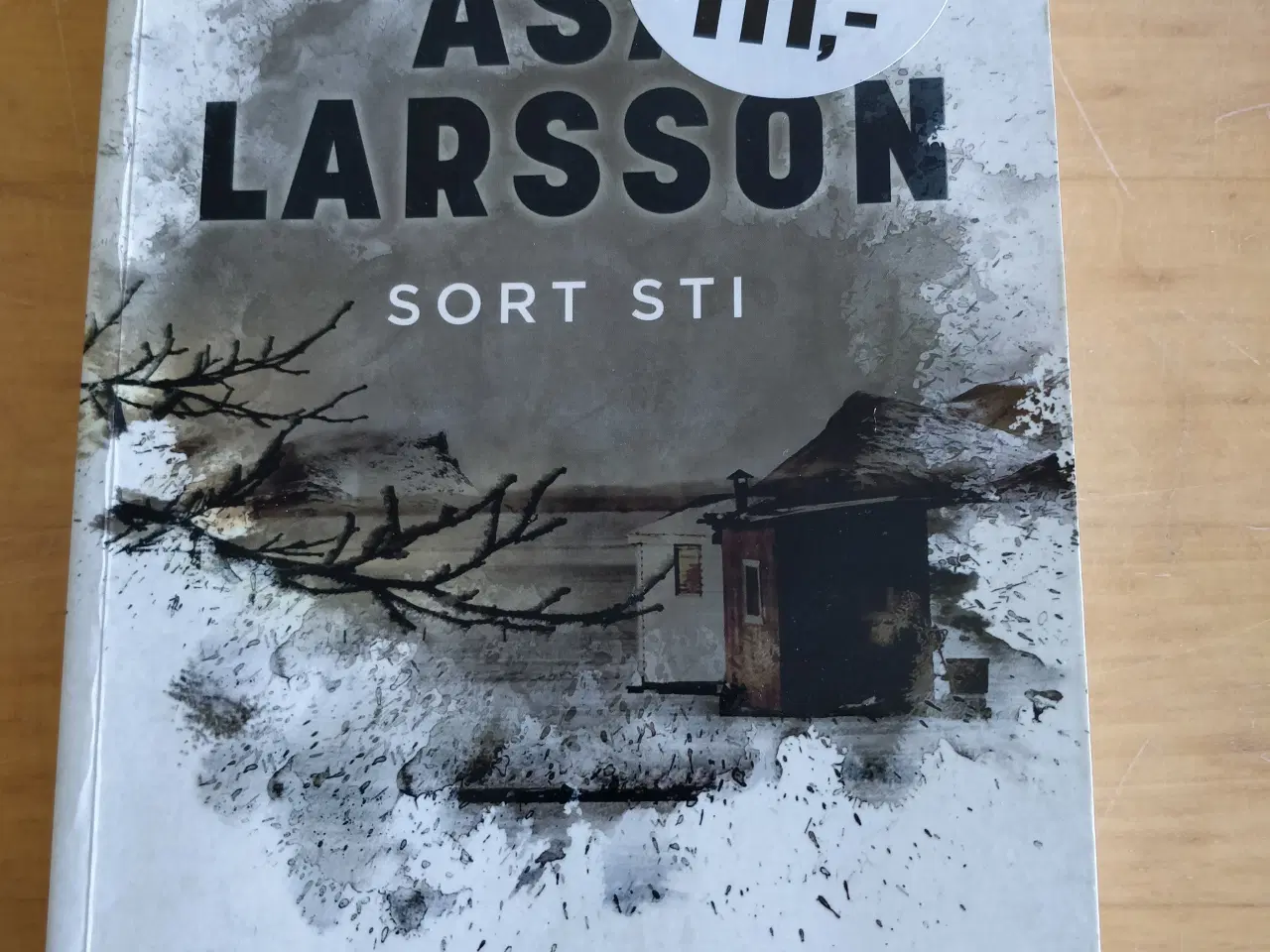 Billede 1 - Sort sti