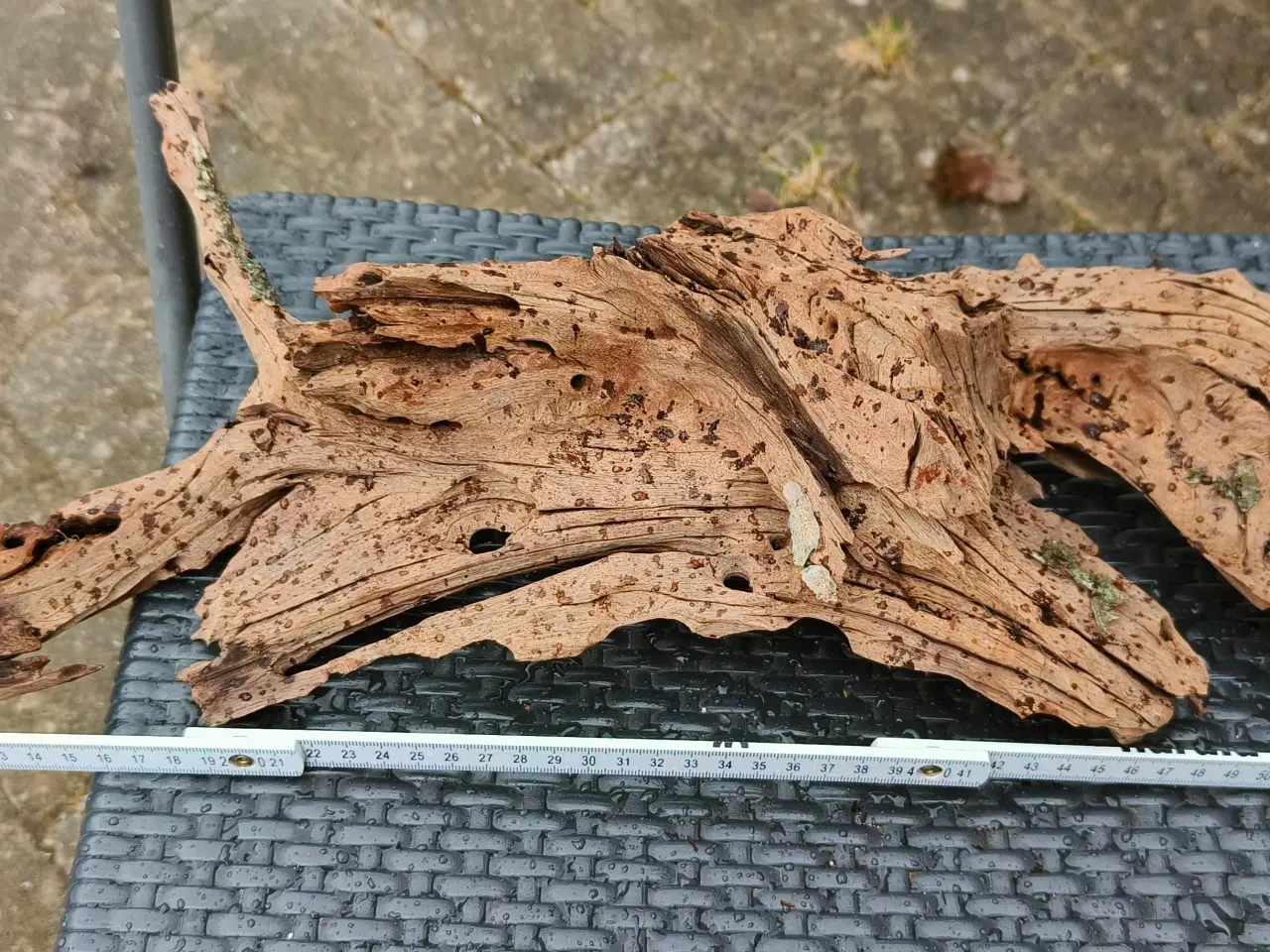 Billede 5 - Flotte trærødder sælges