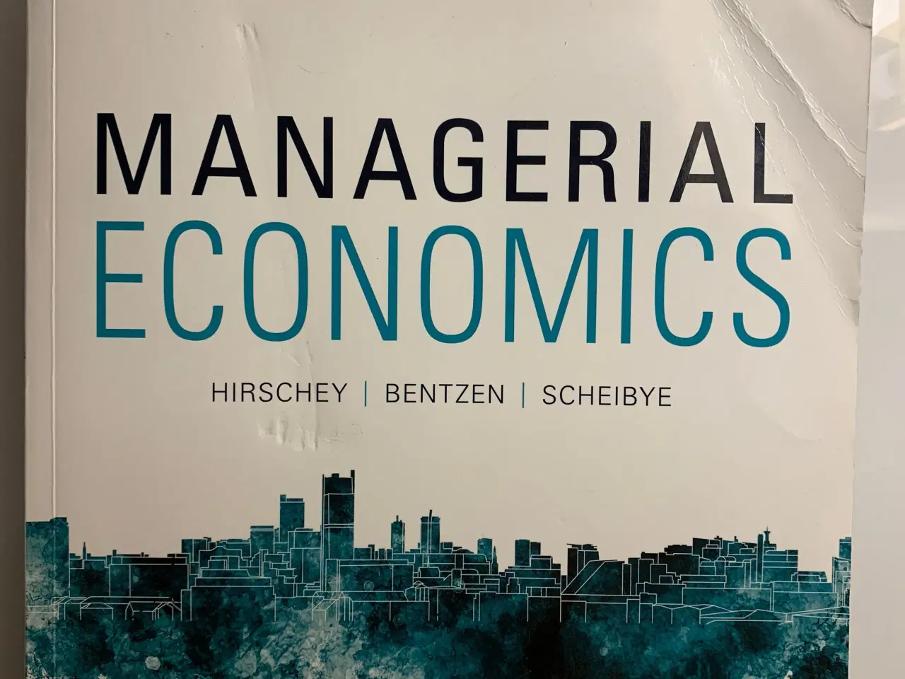 Billede 1 - Managerial Economics
