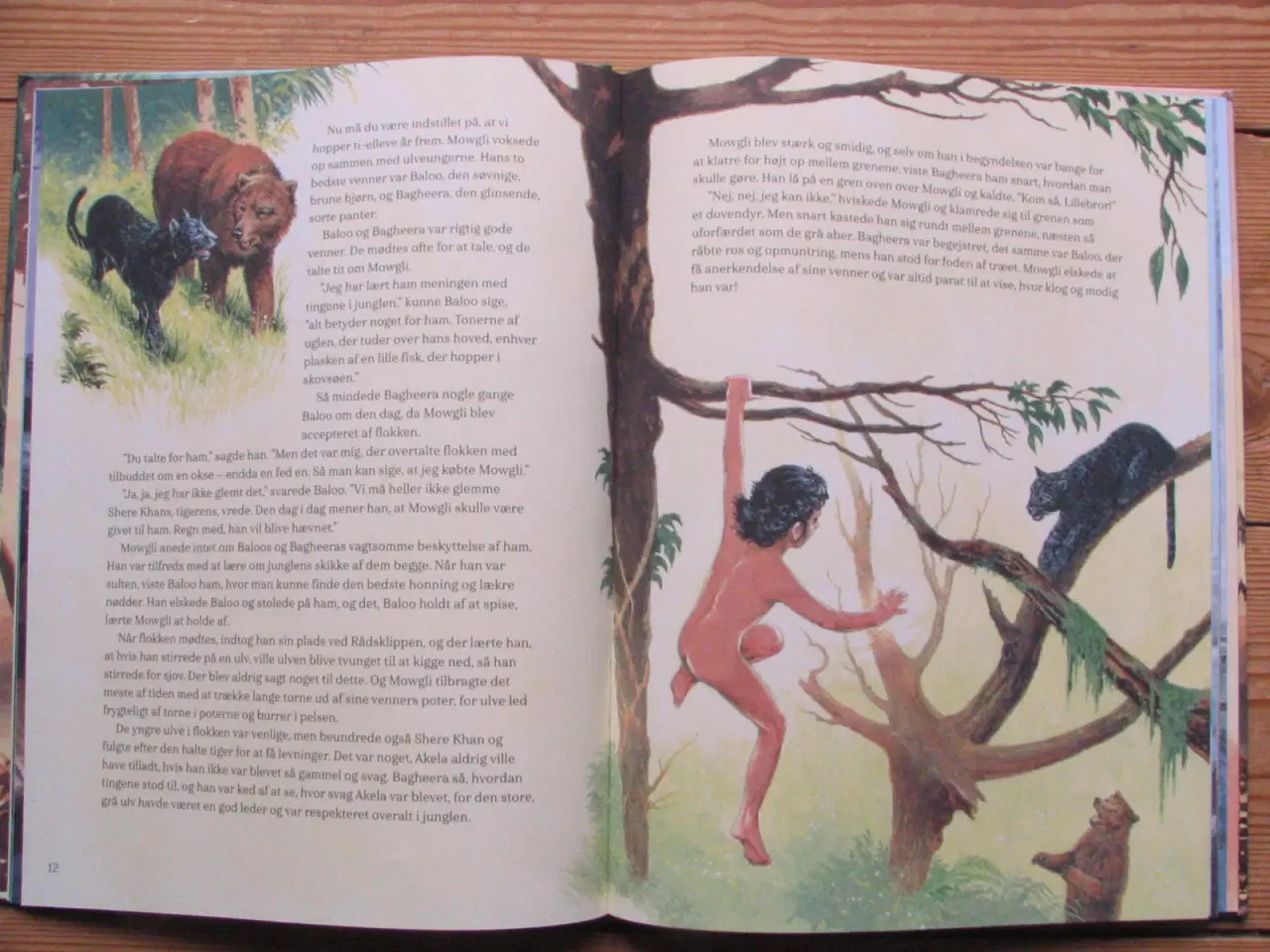 Billede 4 - 2 stk Illustrerede klassikere fra 2019