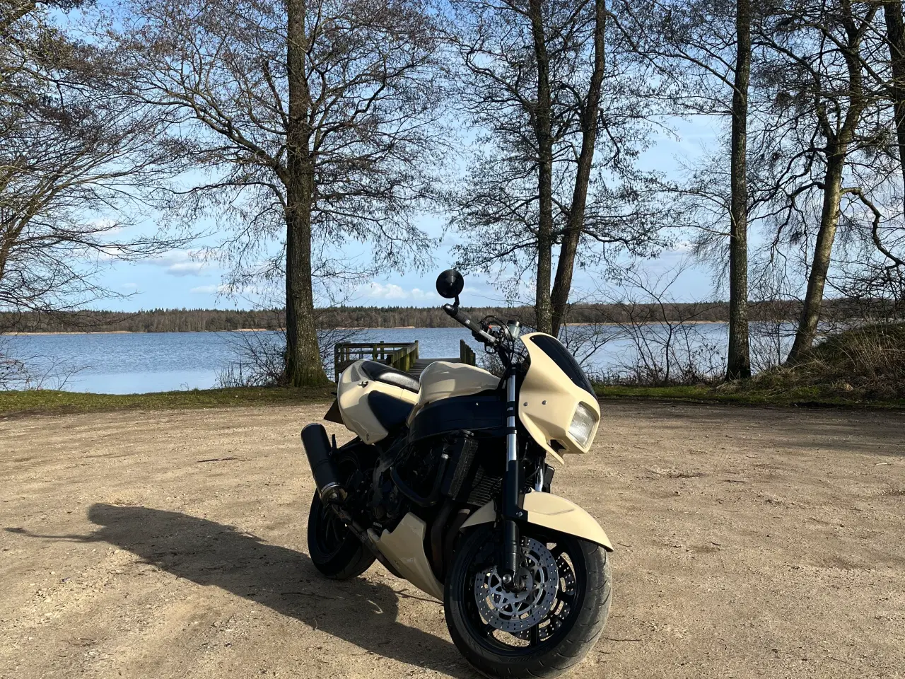 Billede 1 - Honda cbr 900 custom streetfighter