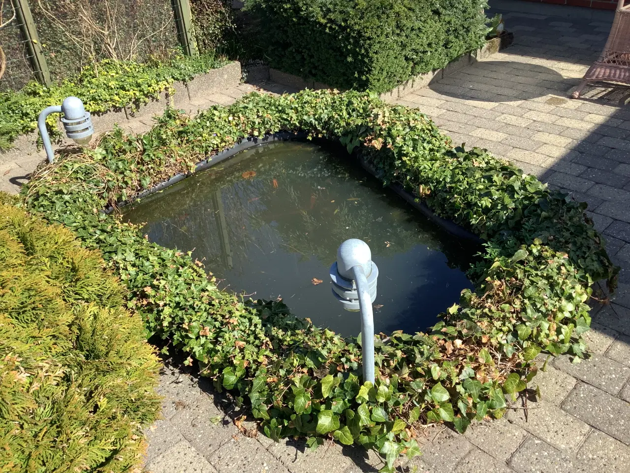 Billede 1 - Havedam