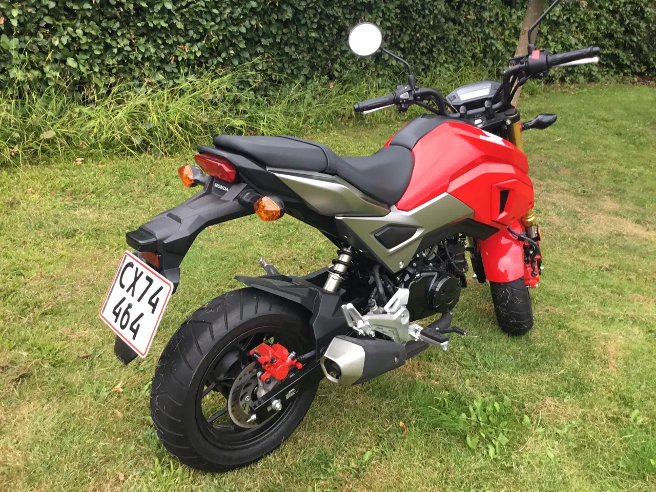 Billede 4 - Honda Grom 125