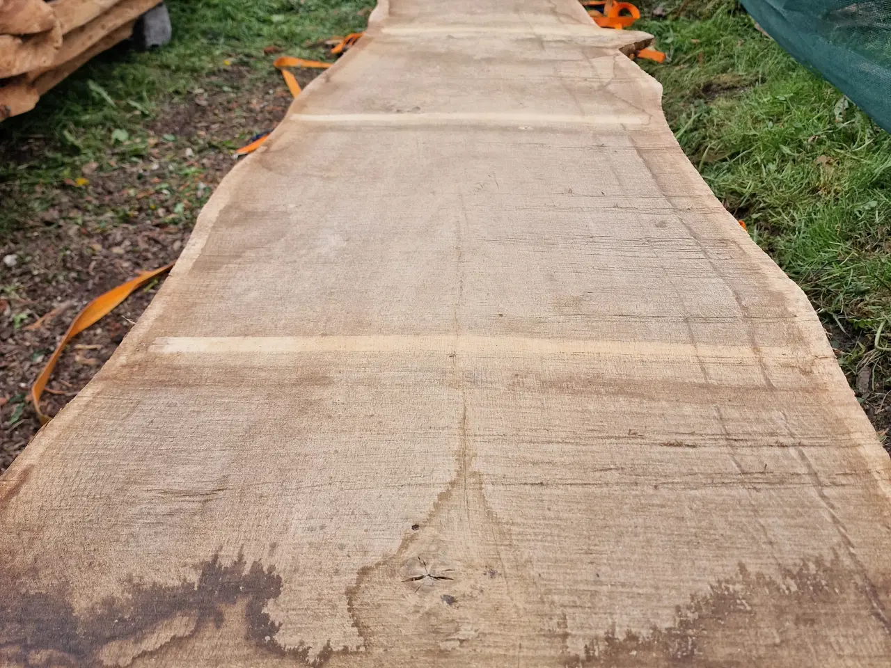 Billede 5 - Store Ege Planker 