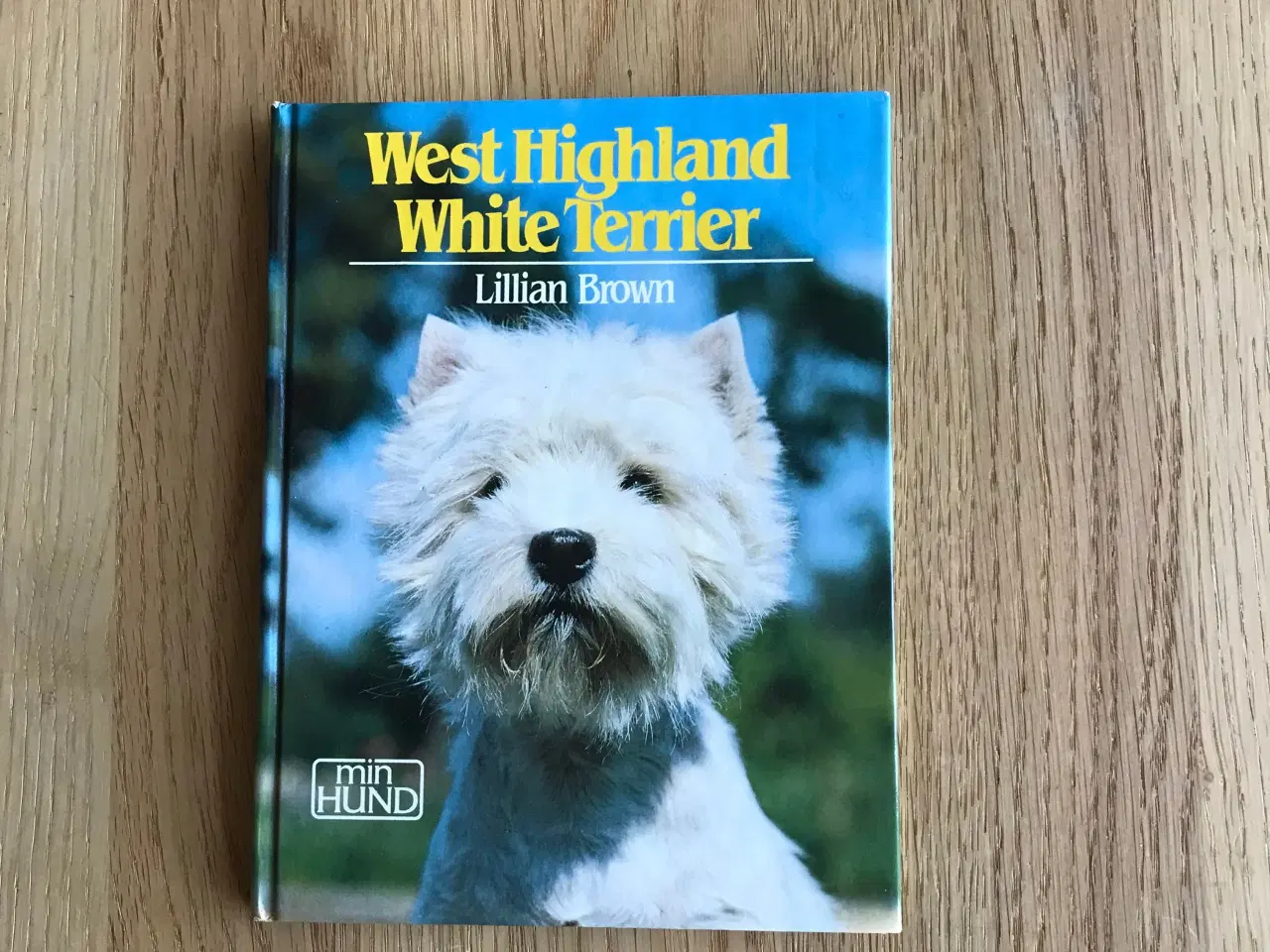 Billede 1 - West Highland White Terrier