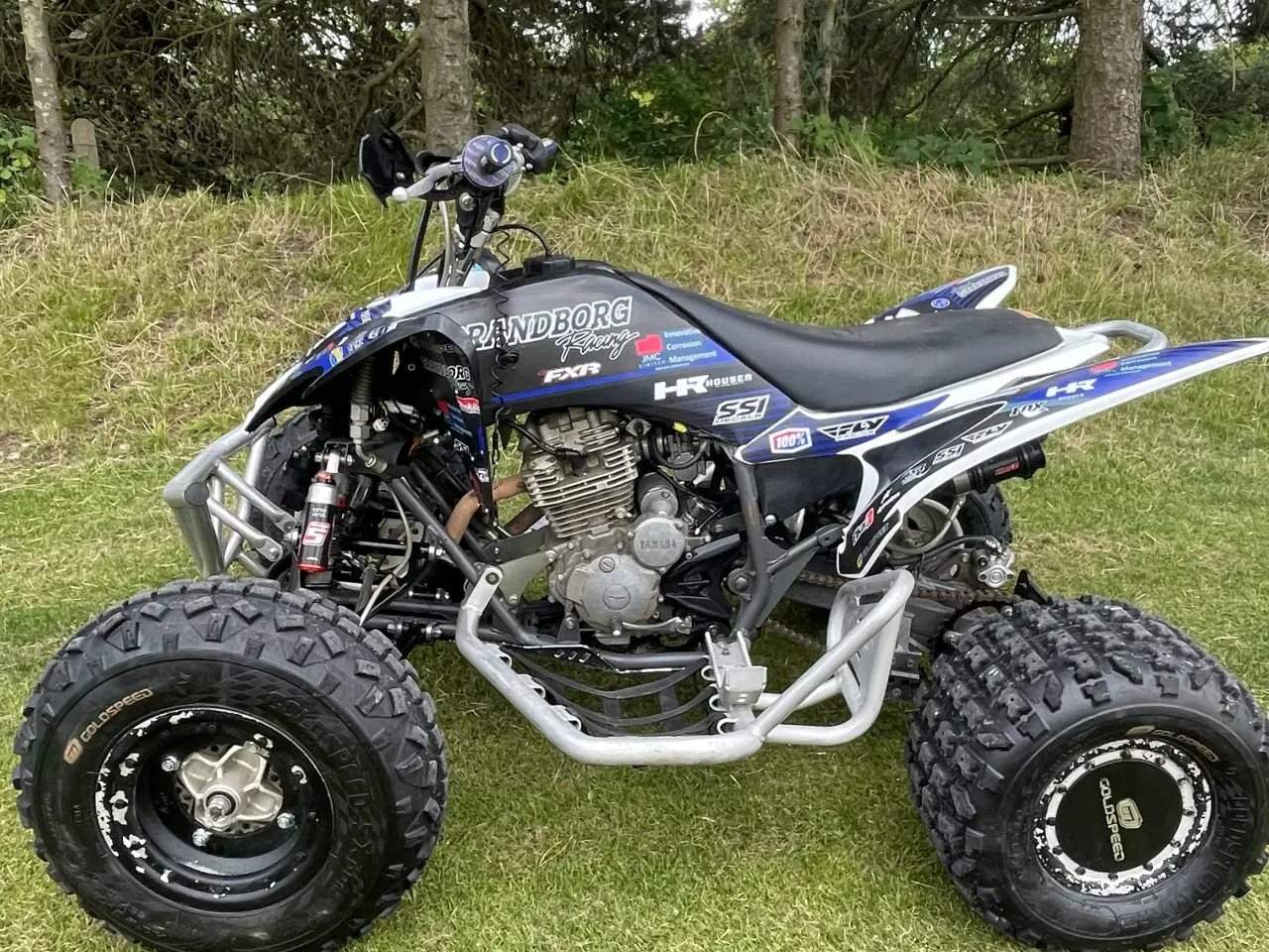 Billede 2 - Yamaha 250 raptor