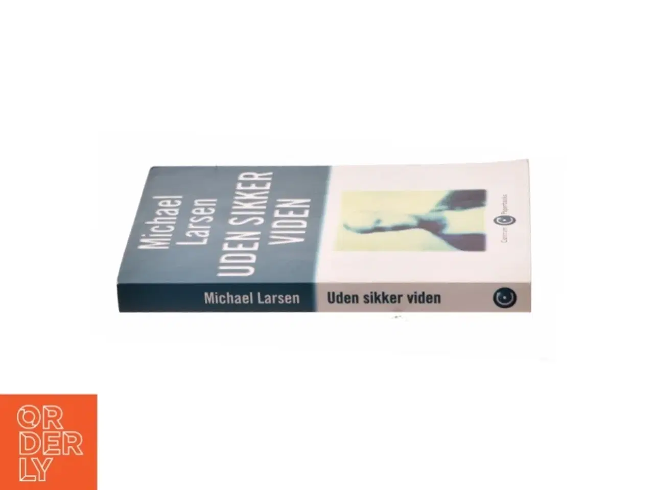 Billede 2 - Uden sikker viden af Micheal Larsen (Bog)
