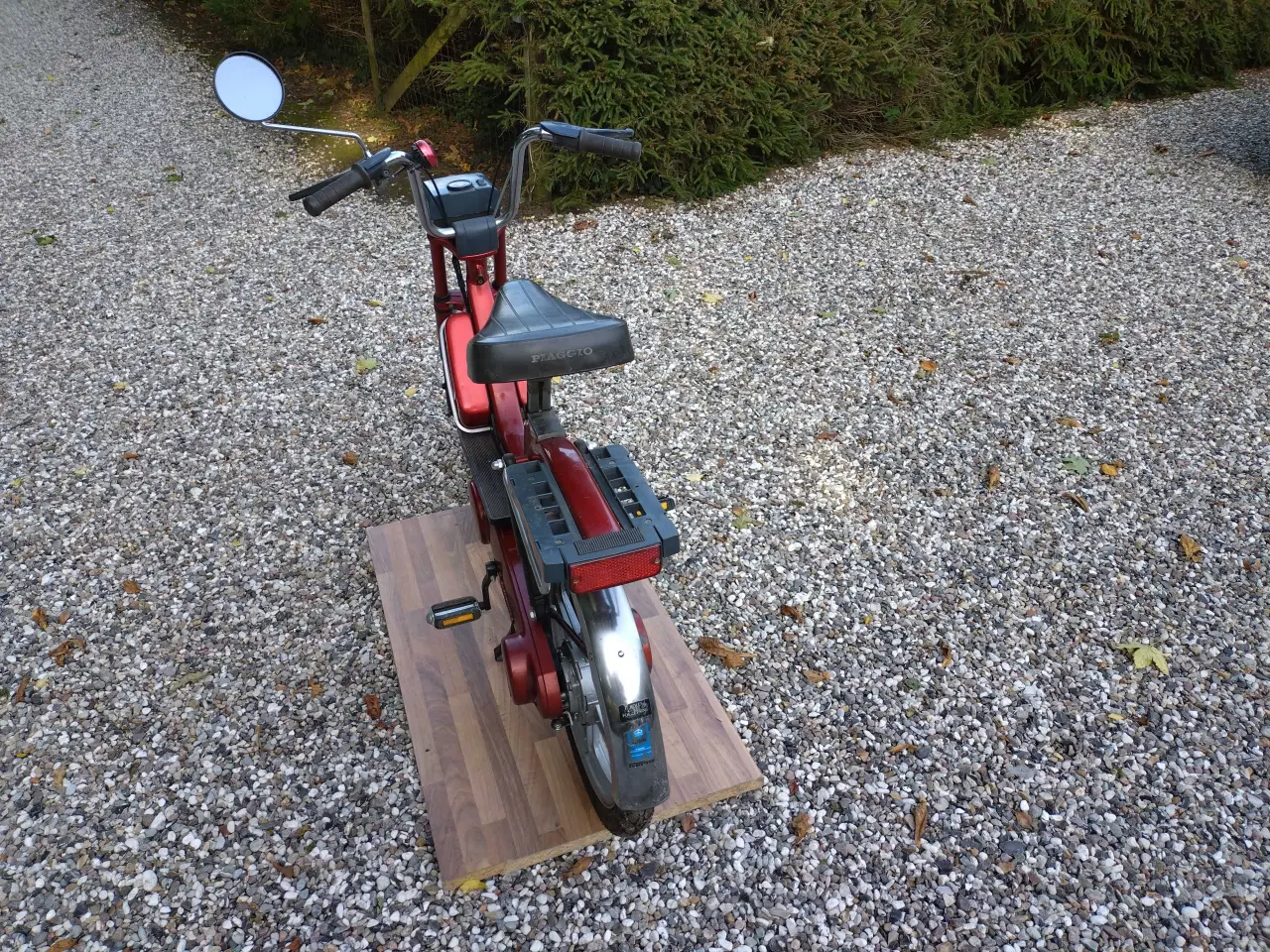 Billede 8 - Vespa caio