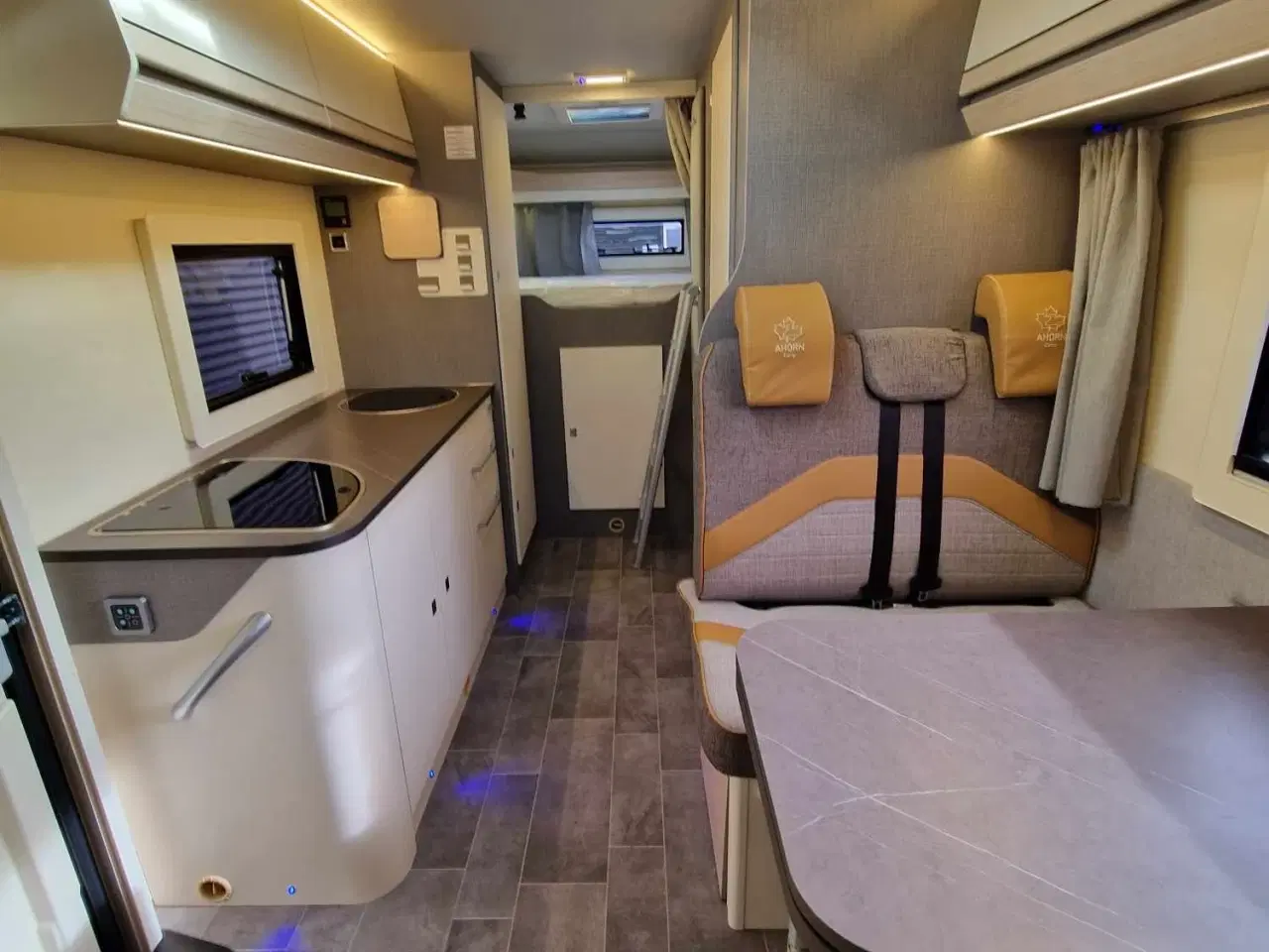 Billede 10 - 2025 - Ahorn Canada AD